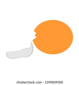 Egg a cracked with an shell,  yolk and  white egg