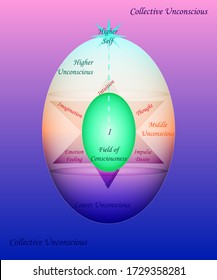 "diagrama de óvulos" de la estructura del mundo interior del ser humano. Roberto Assagioli