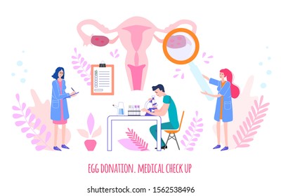 Egg donation. Medical check up. Doctors make check up of woman reproductive system in hospital. Vector illustration.