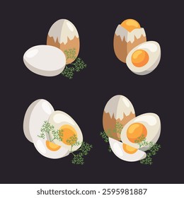 Egg in eggshell, pieces boiled and fries. Whole and half, sliced eggs. Vector isolated on white background. Row egg.
