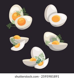 Egg in eggshell, pieces boiled and fries. Whole and half, sliced eggs. Vector isolated on white background. Row egg.