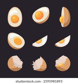 Egg in eggshell, pieces boiled and fries. Whole and half, sliced eggs. Vector isolated on white background. Row egg.