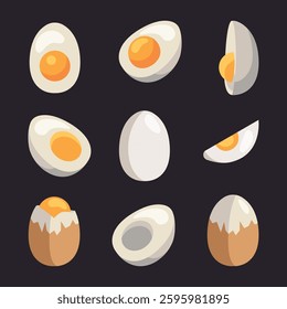 Egg in eggshell, pieces boiled and fries. Whole and half, sliced eggs. Vector isolated on white background. Row egg.