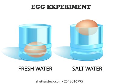 Egg experiment. Behavior of the egg in fresh and salt water. Vector illustration