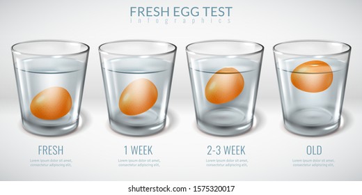 Egg floating freshness test glass water. Realistic horizontal illustration. Physical experience. Expiration date check. Vector infographics