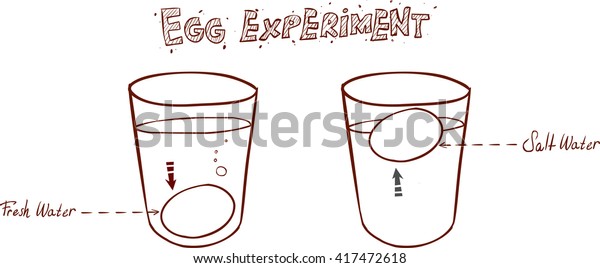 Egg Floating Glass Water Sink Float Stock Vector Royalty