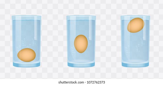 Test Egg Stock Illustrations Images Vectors Shutterstock