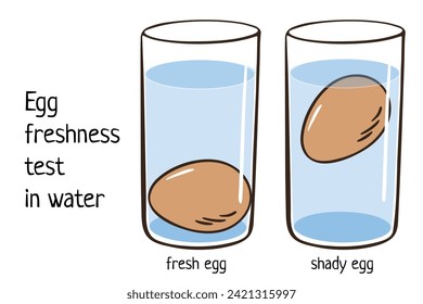 Prueba de frescura de huevos en agua. Huevos flotando en un vaso transparente de agua aislados en un fondo blanco.  un conjunto de frescura que va del producto fresco al malo. ilustración de comida estilo caricatura