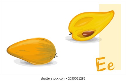 Egg fruit vector art. Tropical exotic fruits. Eggfruit or Pouteria campechiana in golden orange color cute with seeds