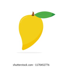 egg fruit vector illustration