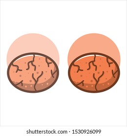 Egg icon set illustration with full color and flat background