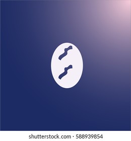 Egg icon vector