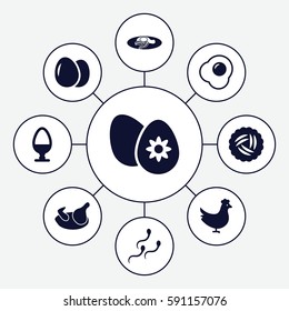 egg icons set. Set of 9 egg filled icons such as chicken, nest
