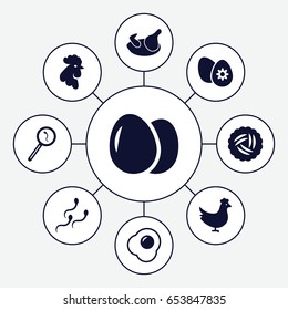 Egg icons set. set of 9 egg filled icons such as chicken, nest, rooster, search sperm