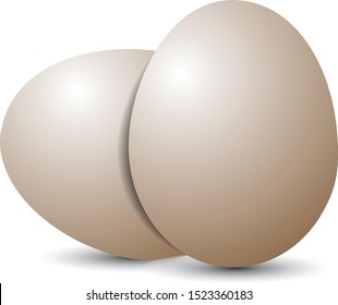 Egg illustration vector for restaurant