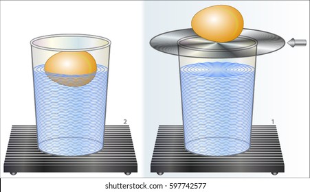 Egg Inertia Experiment - The egg remains at rest until gravity pulls it down