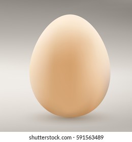 Egg isolated on a gray background. Chicken Eggs.  Natural ecological product. Healthy food. Dietary meal. Easter symbol. Vector illustration. 
