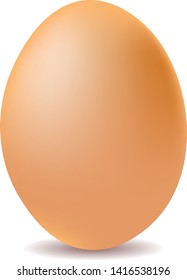 Egg isolated on white background vector illustration