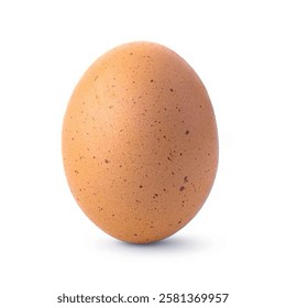 Egg isolated on white background png file