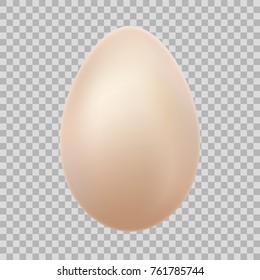 Egg - Isolated On White Background. Natural ecological product. Healthy food. Dietary meal. Easter symbol. And also includes EPS 10 vector