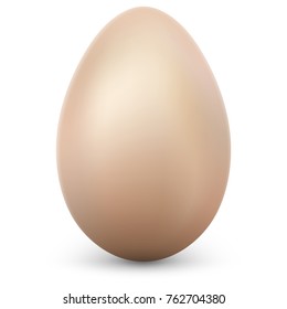 Egg isolated on white background. 