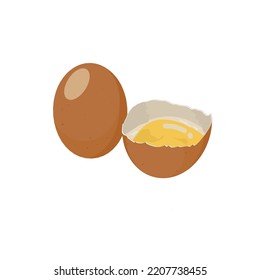 Egg isolated in white background.Raw, hard boiled, fried chicken eggs, vector isolated illustration. Whole and broken white and yellow fresh raw eggs. For logo product , farming , high food protein