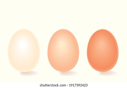 Egg of life Concept. Illustration, shape, line, art, graphic and retro style in vector isolated on background.