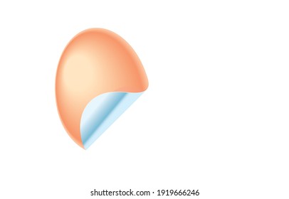 Egg of life Concept. Illustration, shape, line, art, graphic and retro style in vector isolated on background.