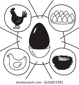 Egg life cycle diagram hen chick eggs nest