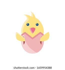egg with little chicken over white background, flat style icon, vector illustration