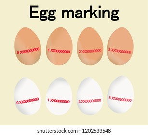 Egg Marking, set with the different class of egg codes. Red code or label about regulations on production and origin of food. Isolated vector.