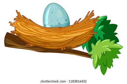 Egg in nest branch illustration