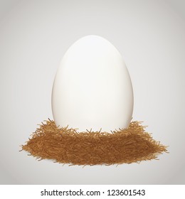 Egg in the nest. Vector illustration