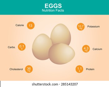 egg nutrition facts, egg with information, eggs vector