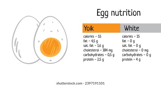 Egg nutrition poster. Nutrient and calorie content of egg yolk and white. Vector doodle illustration on white for poster, web banner, Journal, web, newspaper article, egg packaging design.