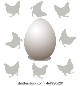 the egg on the background of the chickens