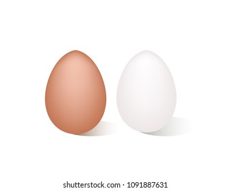 Egg on white background