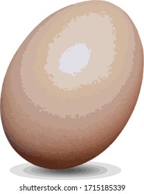 Egg on a white background.