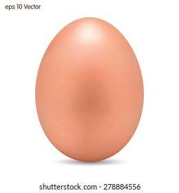 Egg on a white background. Vector