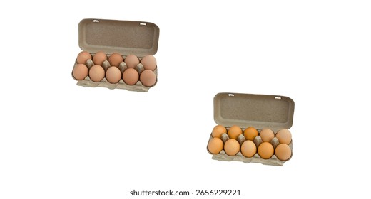 Ícones do pacote Egg definidos. Ovos em caixa de papel caixas de embalagem aberta. Bandeja ou recipiente de papelão realista com ovos frescos isolados sobre fundo branco.
