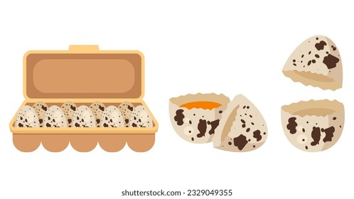 Egg package pack box isolated concept. Vector graphic design illustration