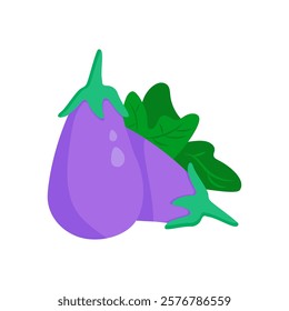 Egg Plant, Kitchen Vector Illustration Isolated