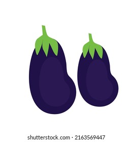 egg plant vector, vegetable isolated on white background, vector illustration