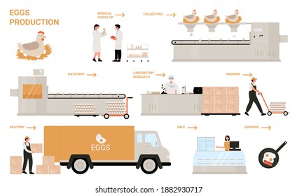 Producción de procesos de huevo en la infografía vectorial de la fábrica de aves de corral de pollo. Tecnología de elaboración de caricaturas para la fabricación de ovoproductos, línea automatizada de la industria alimentaria aislada en blanco