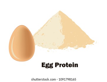 Egg protein powder and the whole egg. Vector illustration. Bodybuilding supplement concept.