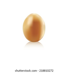 Egg realistic orange on a white background.