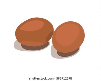 Egg realistic vector illustration isolated