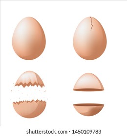 Egg Separate Broken Different Set Vector
