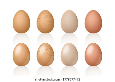 egg clipart