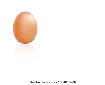egg with shadow isolate on white background in vector illustration version